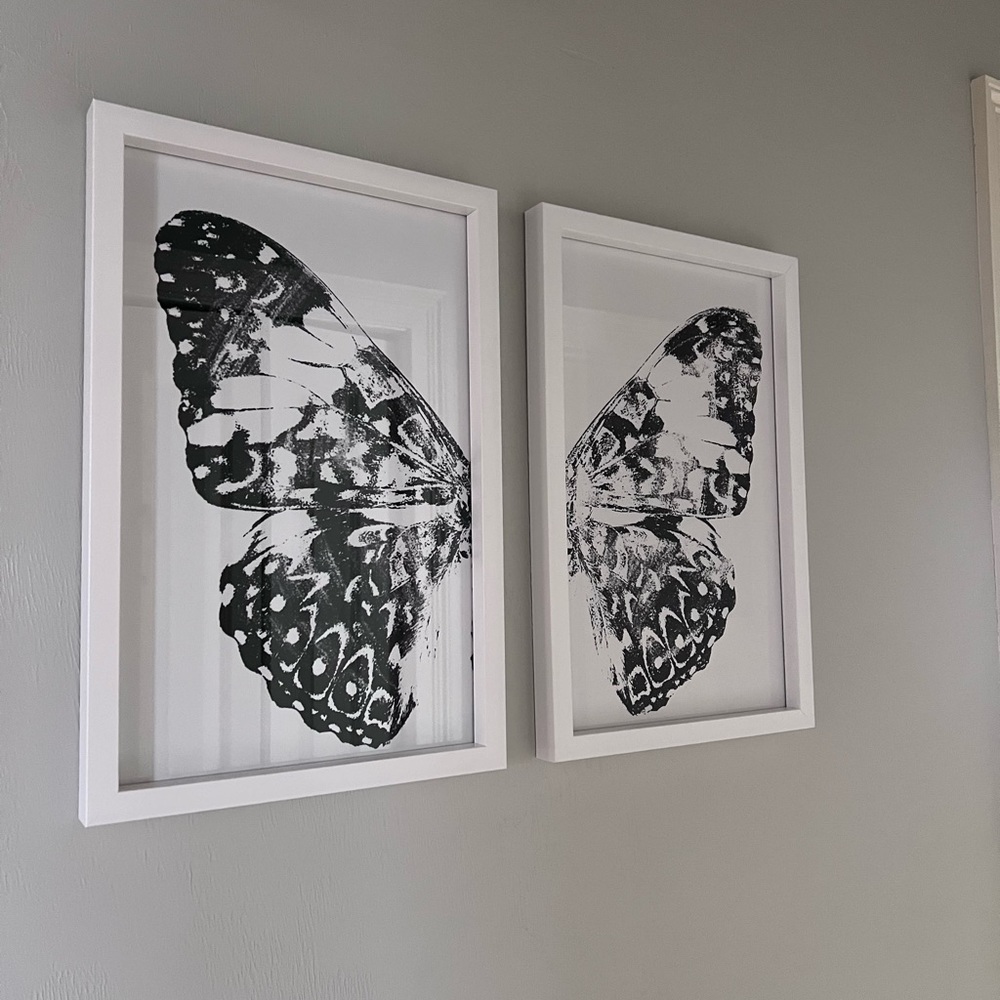 Beautiful multiple Butterfly pic 18 x 12”